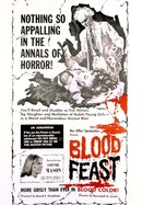 Blood Feast poster image