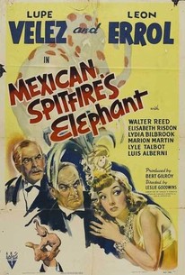 Watch trailer for Mexican Spitfire's Elephant