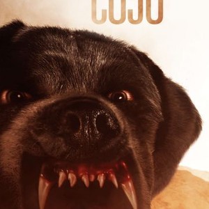 what happened to cujo the dog