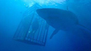 Underwater 2021 2025 putlocker