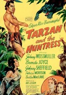 Tarzan and the Huntress poster image