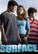 Surface poster image