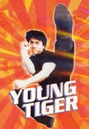 Young Tiger poster image