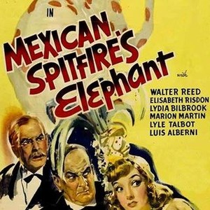 Mexican Spitfire's Elephant (1942) photo 8