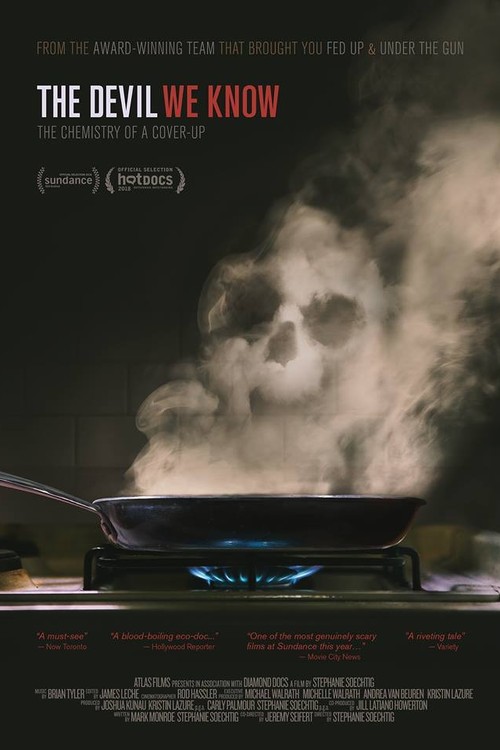 The Devil We Know poster