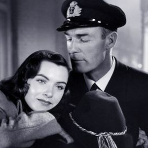 Corvette K225 Rotten Tomatoes