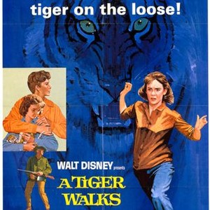 A Tiger Walks (1964) photo 7