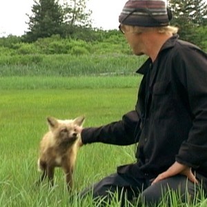 Grizzly Man photo 10