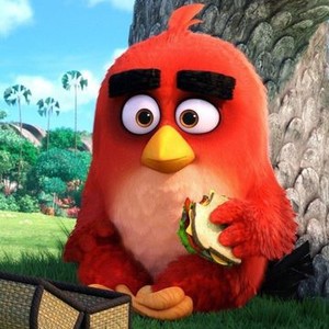 The Angry Birds Movie (2016) photo 11