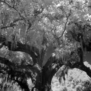 "Visitors photo 1"