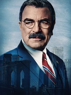 Blue Bloods Rotten Tomatoes