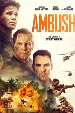 Ambush poster