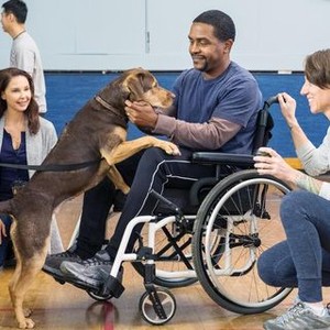A DOG'S WAY HOME, FROM LEFT: ASHLEY JUDD, BELLA (PORTRAYED BY SHELBY/VOICE: BRYCE DALLAS HOWARD), ROLANDO BOYCE, ANNIE NELSON, 2019. PHOTO: JAMES DITTIGER/© COLUMBIA