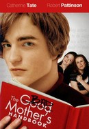 The Bad Mother's Handbook poster image