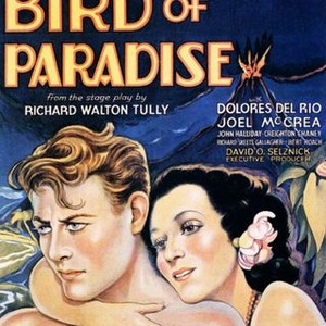 Bird of Paradise (1932) photo 2