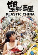 Plastic China poster image