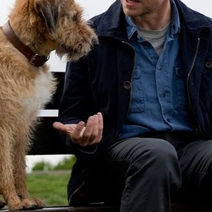 Absolutely Anything (2015)