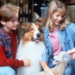 Lassie (1994 film) - Wikipedia