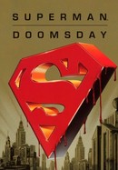 Superman: Doomsday poster image