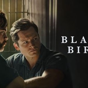 "Black Bird photo 7"