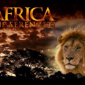 Africa: The Serengeti photo 5
