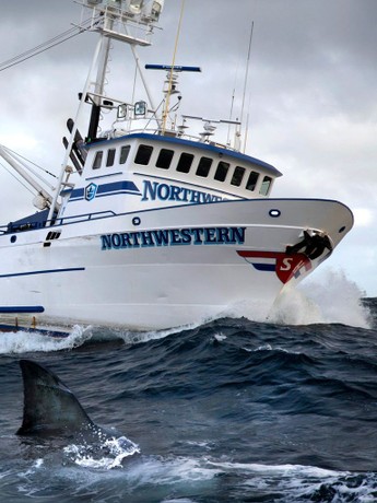 Deadliest Catch: Season 6 | Rotten Tomatoes