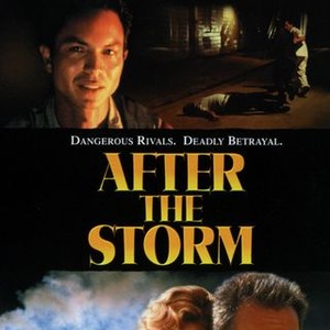 After the Storm (2001) photo 13