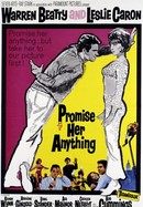 Promise Her Anything poster image