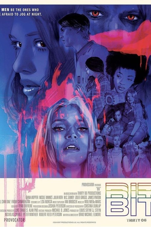 Bit poster