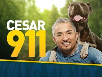 Cesar 911 season 4 cheap