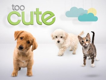 Too cute full episodes cheap