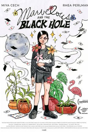 Marvelous and the Black Hole poster