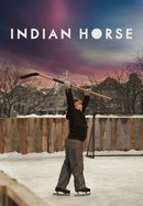 Indian Horse poster image