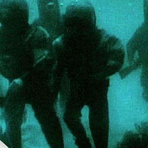 20,000 Leagues Under the Sea photo 5