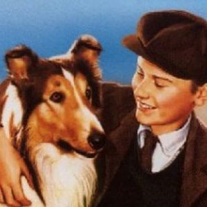 Lassie Come Home photo 10