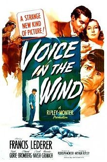 Voice in the Wind | Rotten Tomatoes
