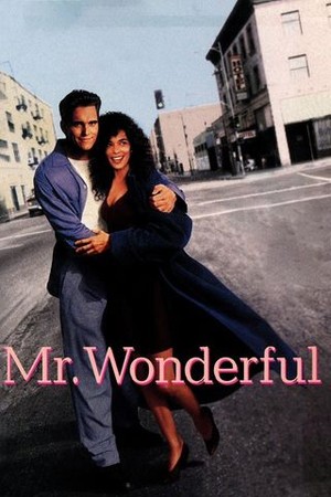 Mr. Wonderful poster