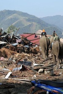 Violent Earth Rotten Tomatoes