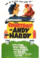 The Courtship of Andy Hardy poster image