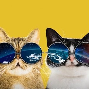 "#CATS_The_Mewvie photo 11"