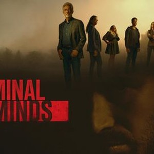 Criminal Minds - Rotten Tomatoes