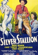 Silver Stallion poster image