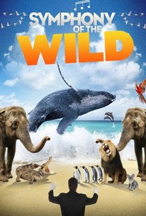 Poster for Symphony of the Wild