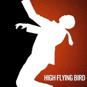 "High Flying Bird photo 15"