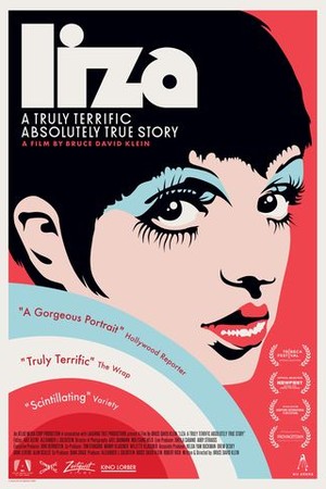Liza: A Truly Terrific Absolutely True Story poster