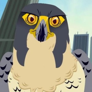 Wild Kratts Creaturepedia PBS KIDS | eduaspirant.com