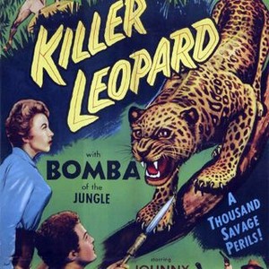 Killer Leopard (1954) photo 10