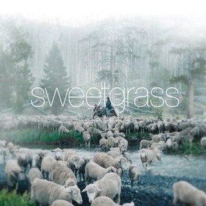 "Sweetgrass photo 10"