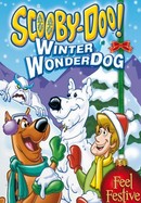 Scooby-Doo!: Winter Wonderdog poster image