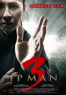 Ip Man 3 poster image